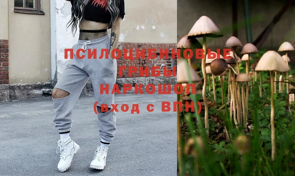 дживик Алексеевка