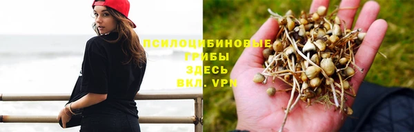 дживик Алексеевка