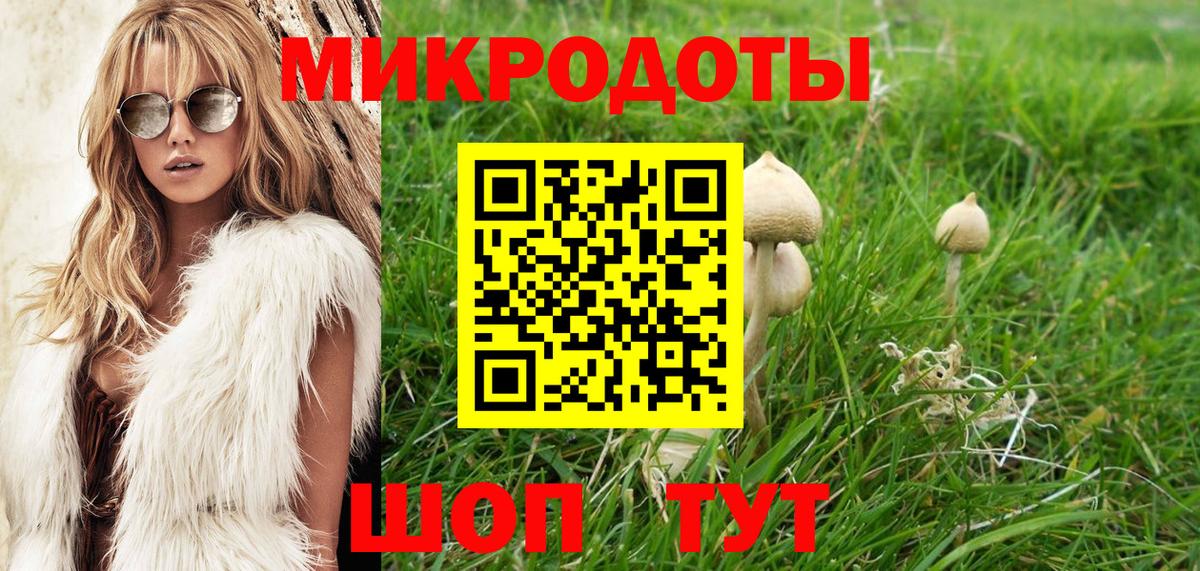 Ишим  купить наркотики цена  Вход с VPN  Псилоцибиновые грибы Psilocybe 